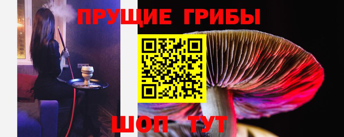 Псилоцибиновые грибы мицелий Сергиев Посад