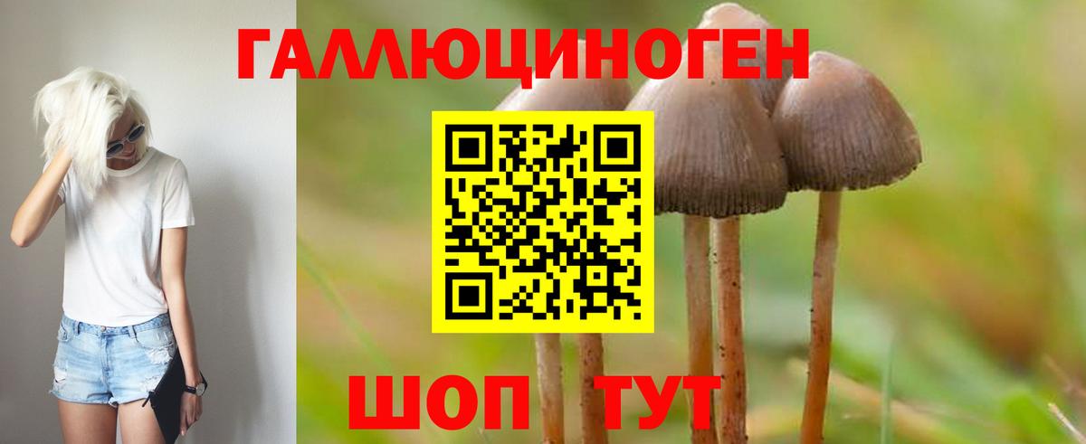 Сергиев Посад  Псилоцибиновые грибы Cubensis  Вход с VPN 
